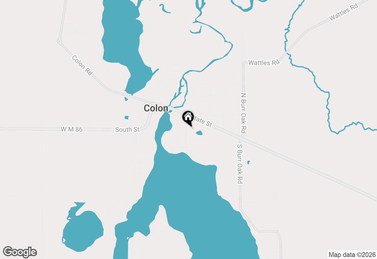 Map of 161 Palmer Avenue, Colon, MI 49040