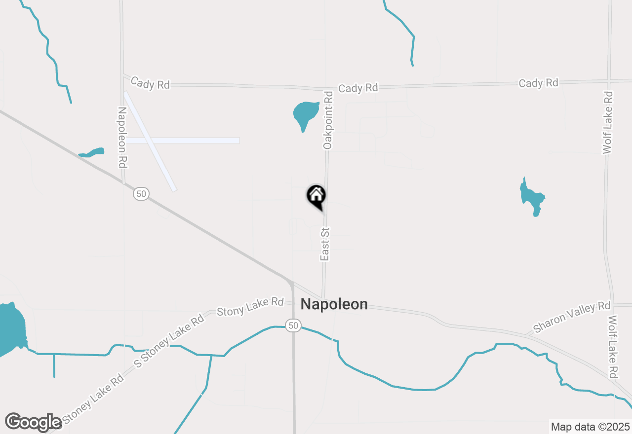 Map of 256 N East Street #NAPOLEON TWP, Jackson, MI 49201