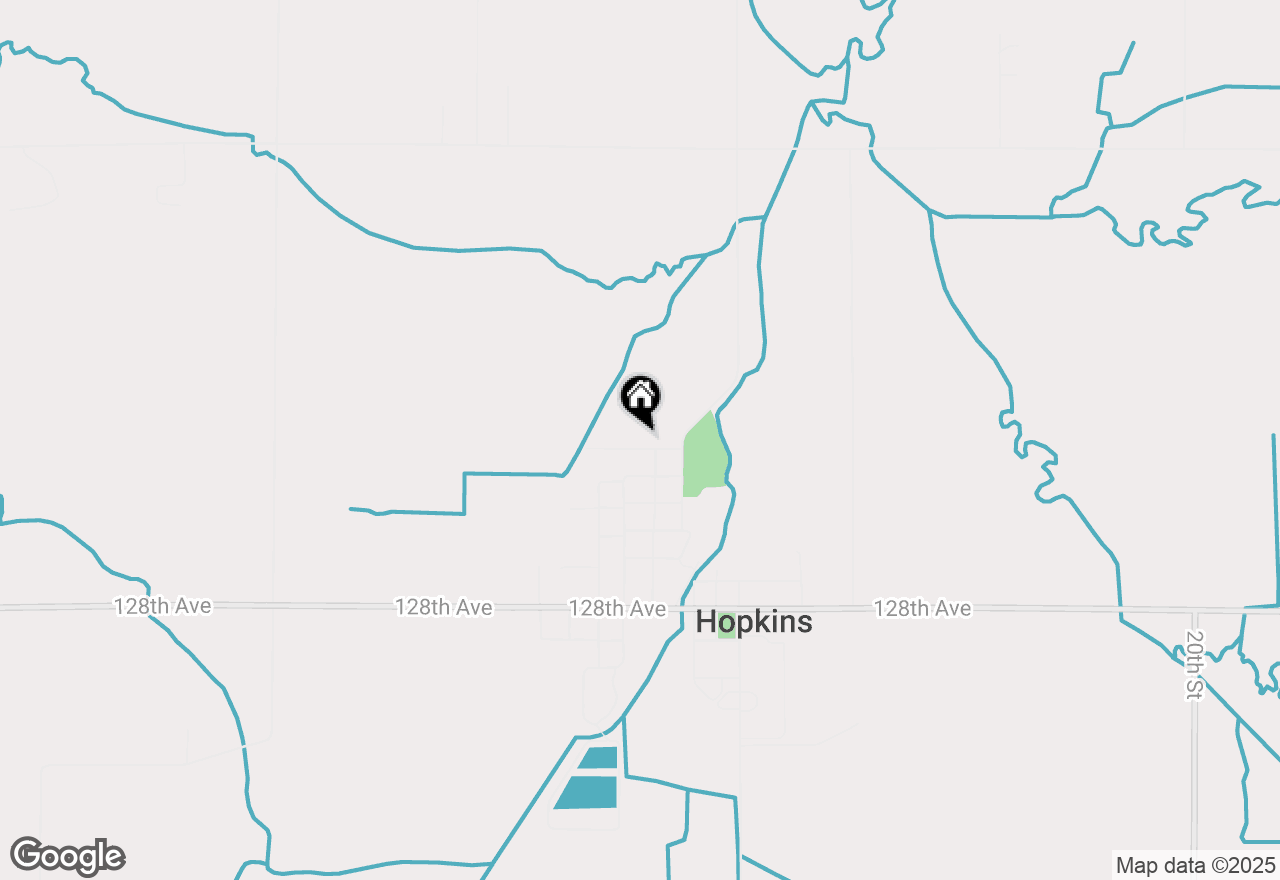 Map of 216 Grant Street, Hopkins, MI 49328