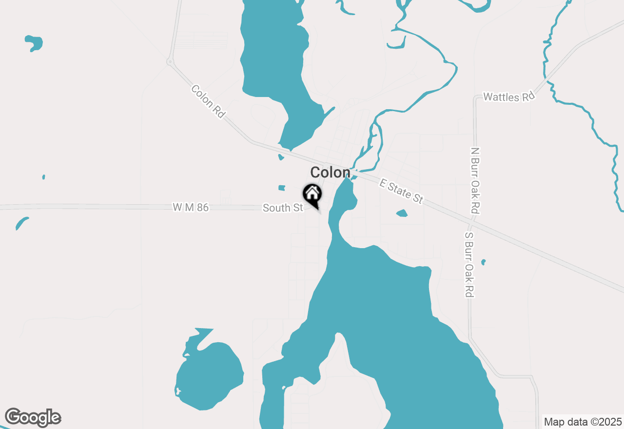 Map of 161 South Street, Colon, MI 49040