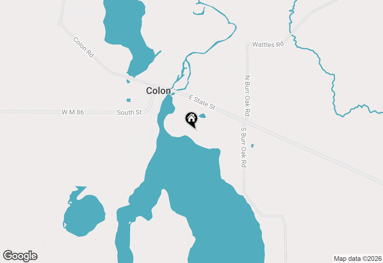 Map of 229 Palmer Avenue, Colon, MI 49040