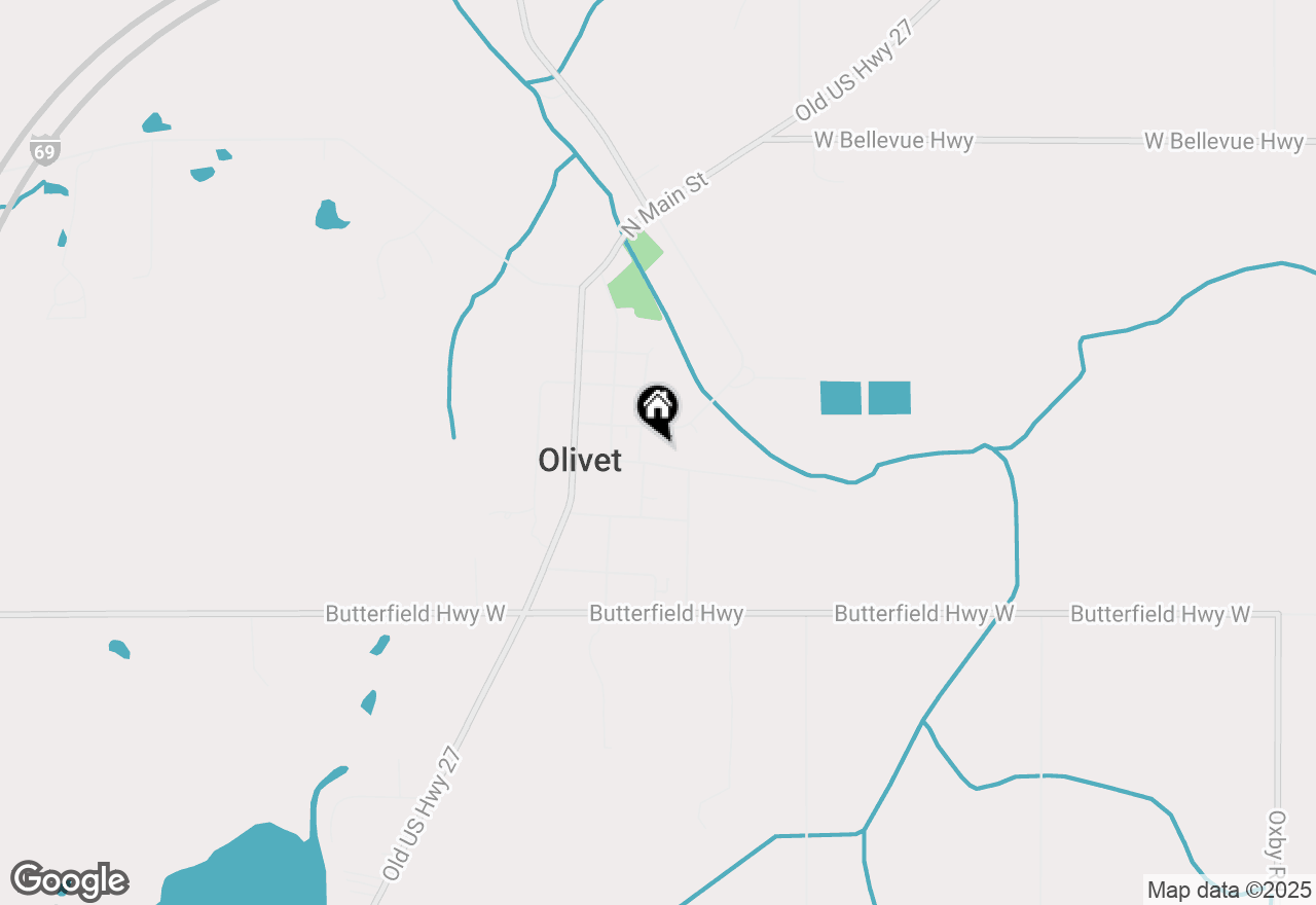 Map of 313 Cottage Street, Olivet, MI 49076