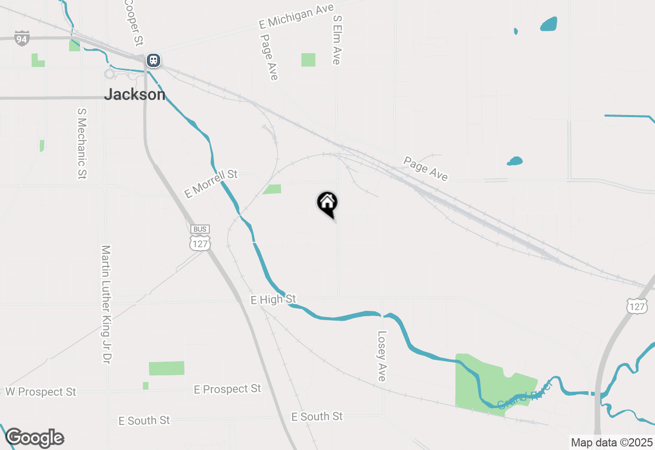 Map of 1315 Locust Street, Jackson, MI 49203