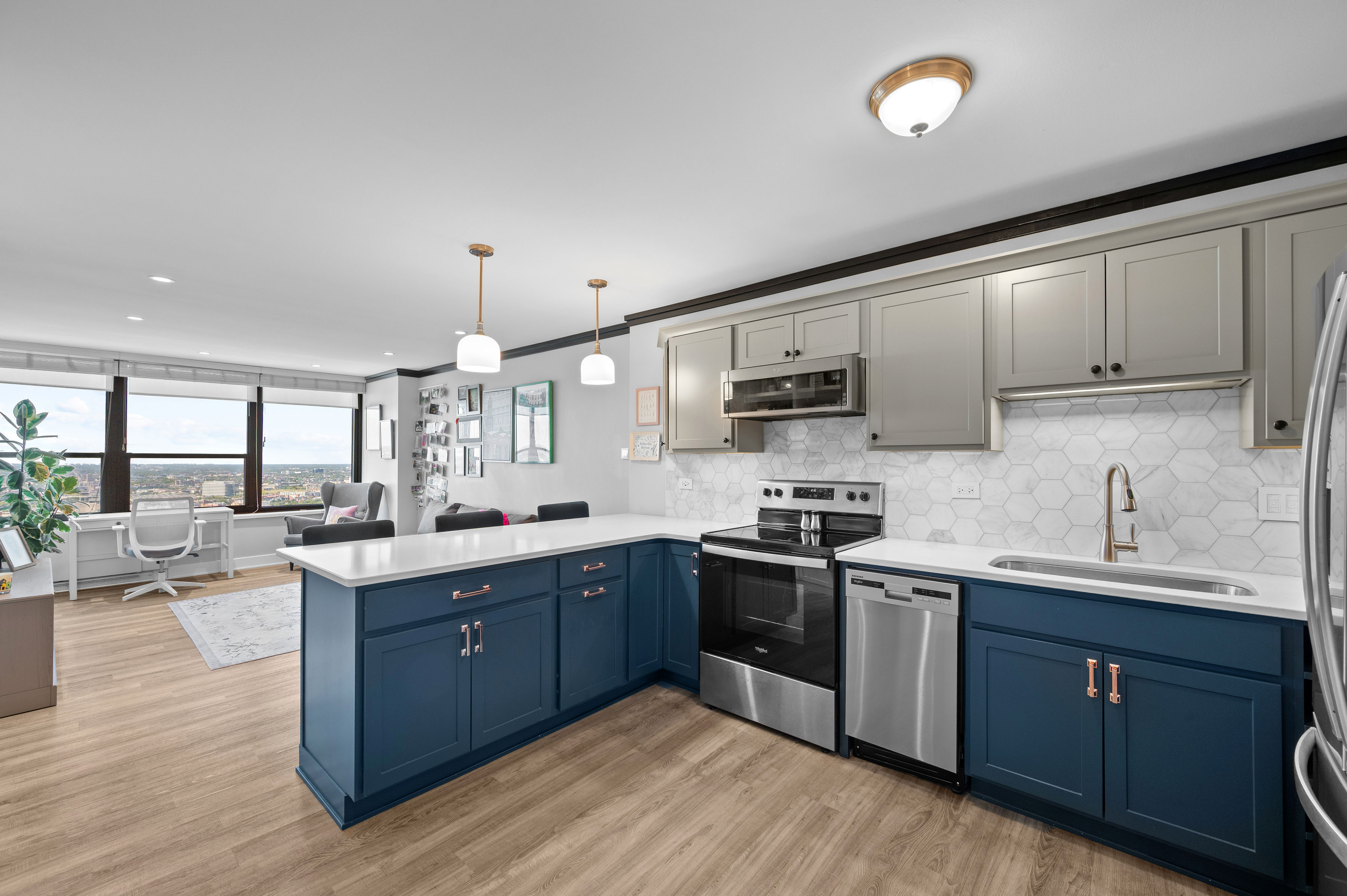 1560 N Sandburg Terrace #4309J