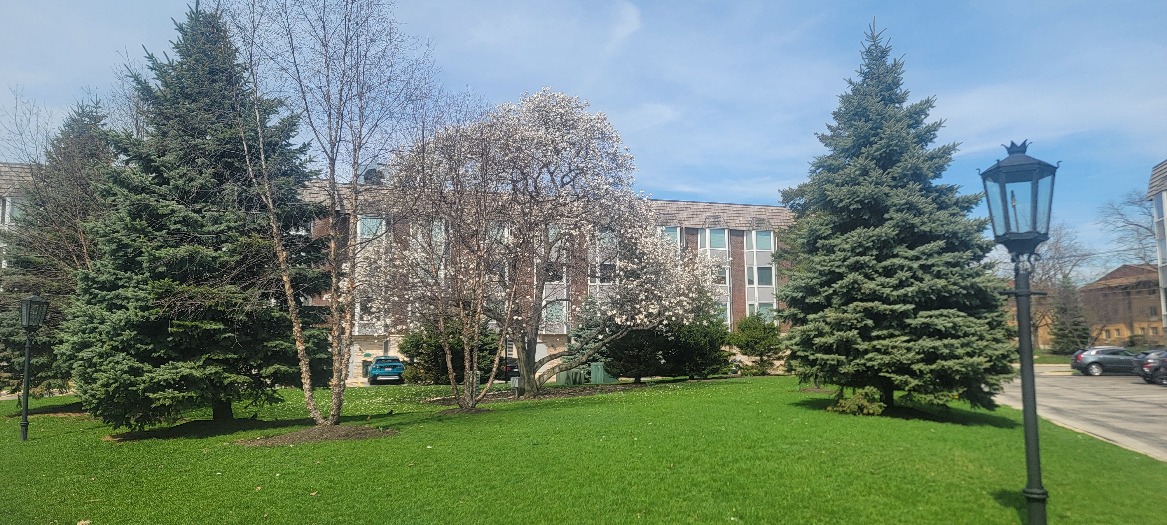 400 Ascot Drive #1M