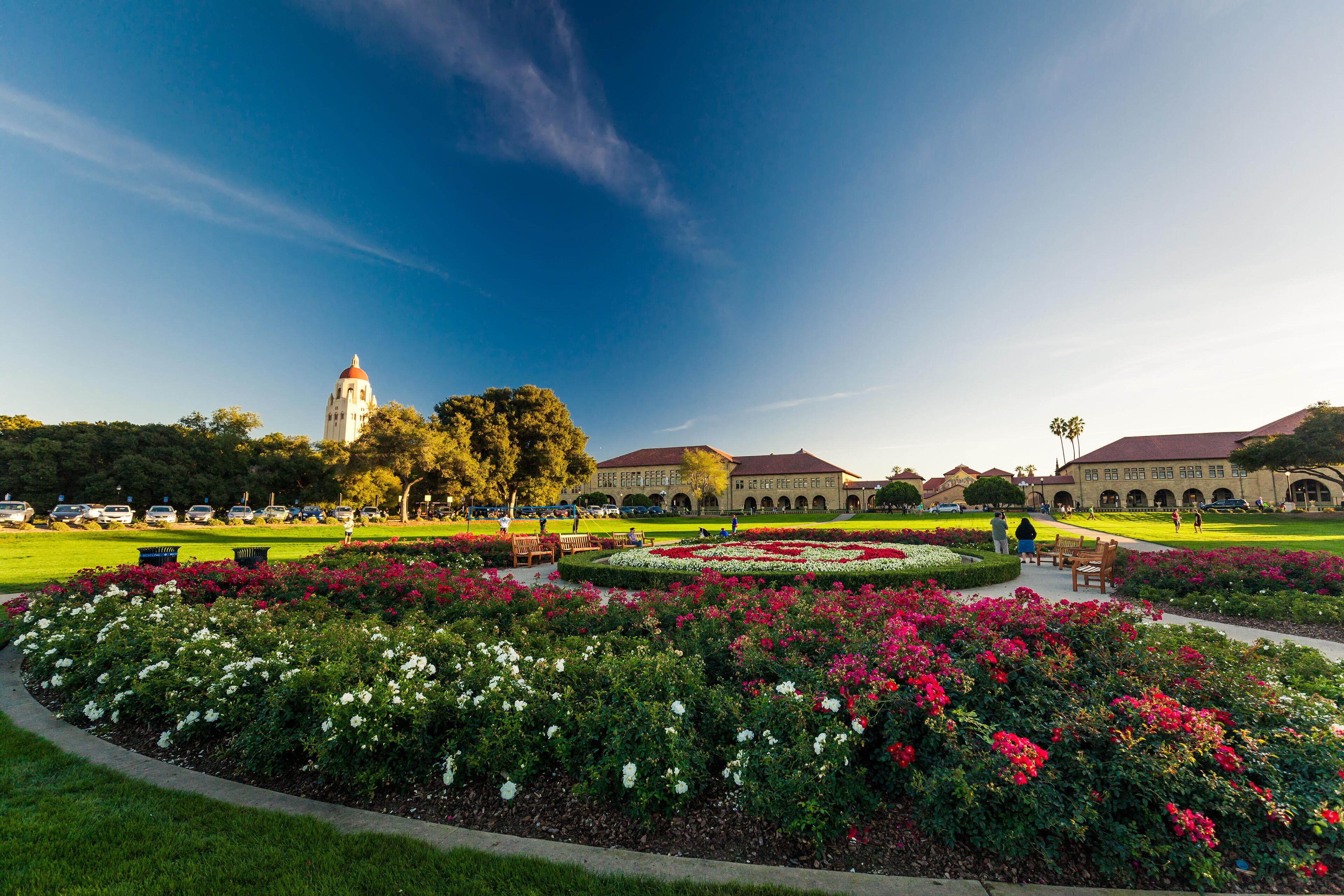 Alford-Bon Palo Alto Market Report
