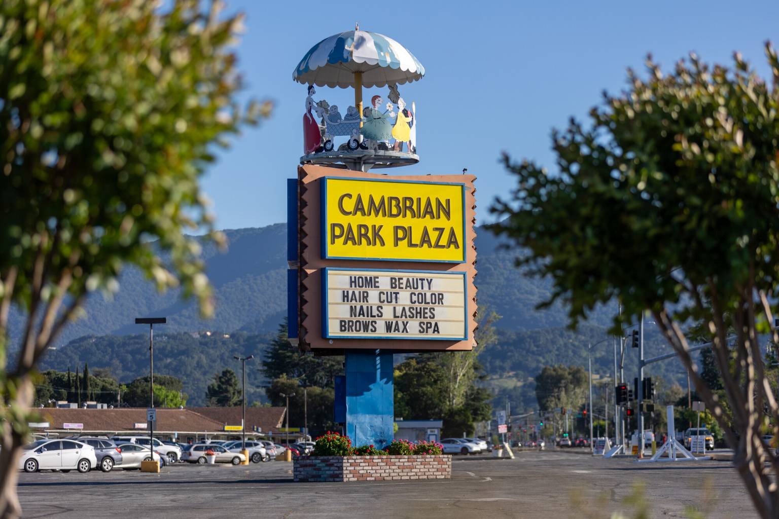 Photograph of Cambrian