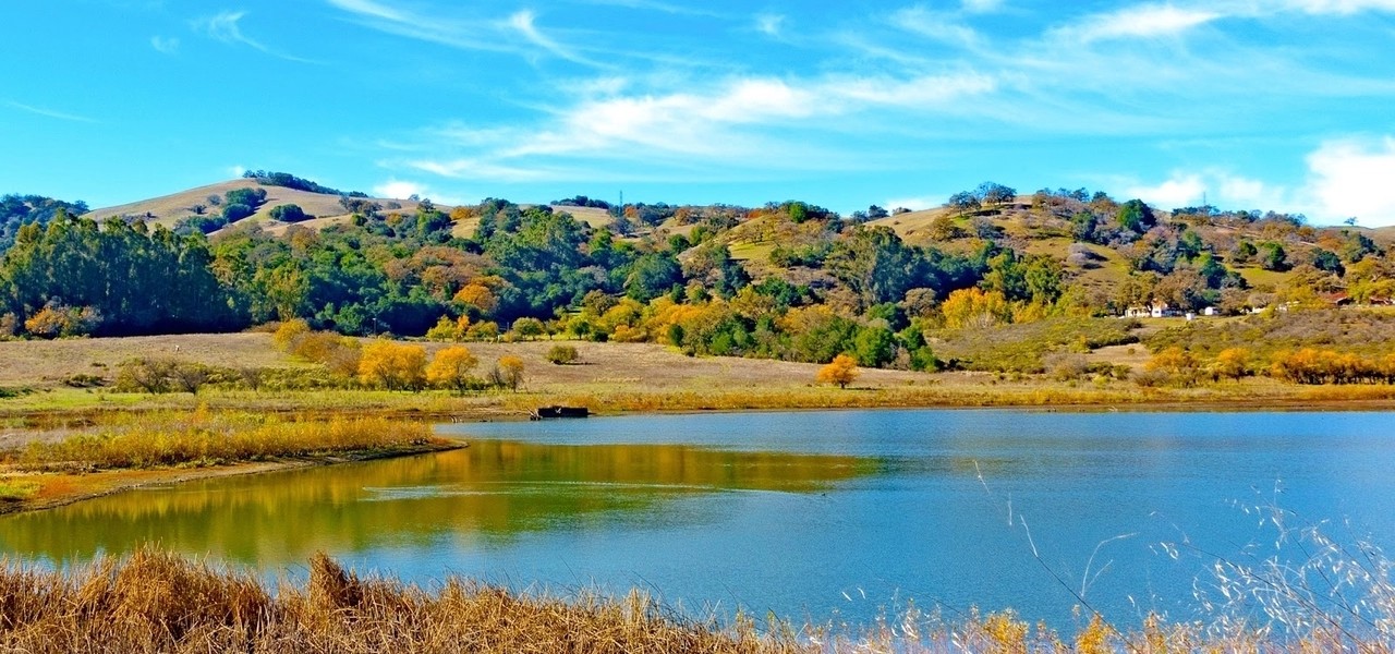 Photograph of Evergreen