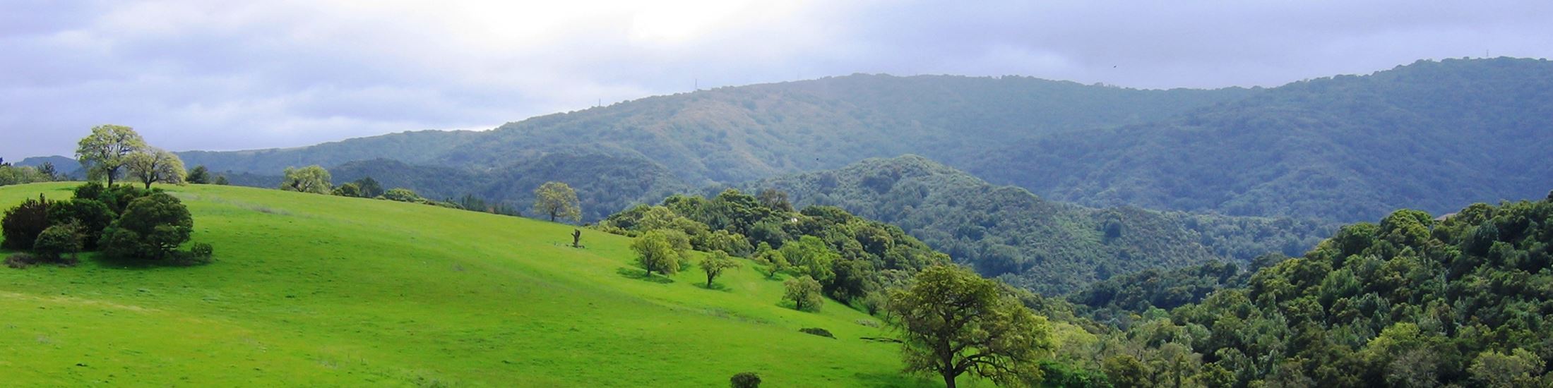 Photograph of Los Altos–Los Altos Hills
