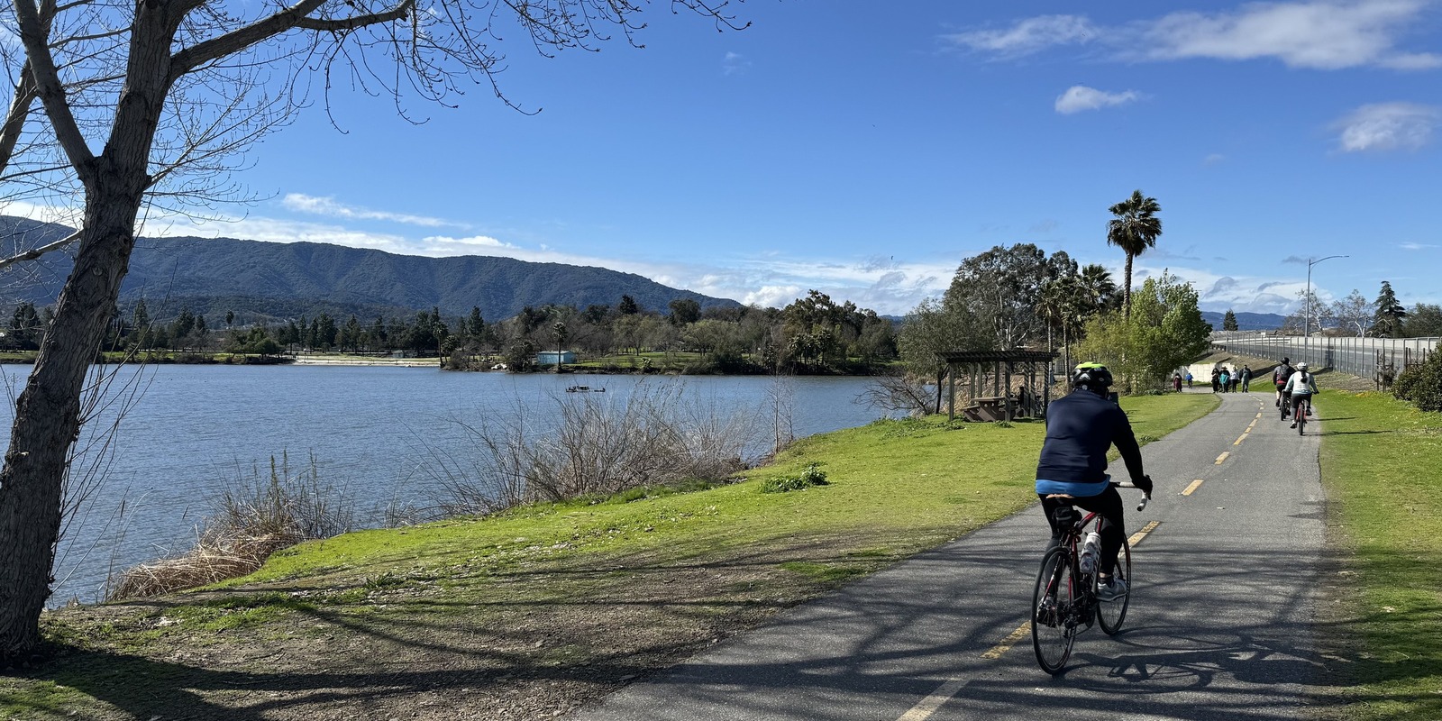 Alford-Bon Almaden Valley Market Report