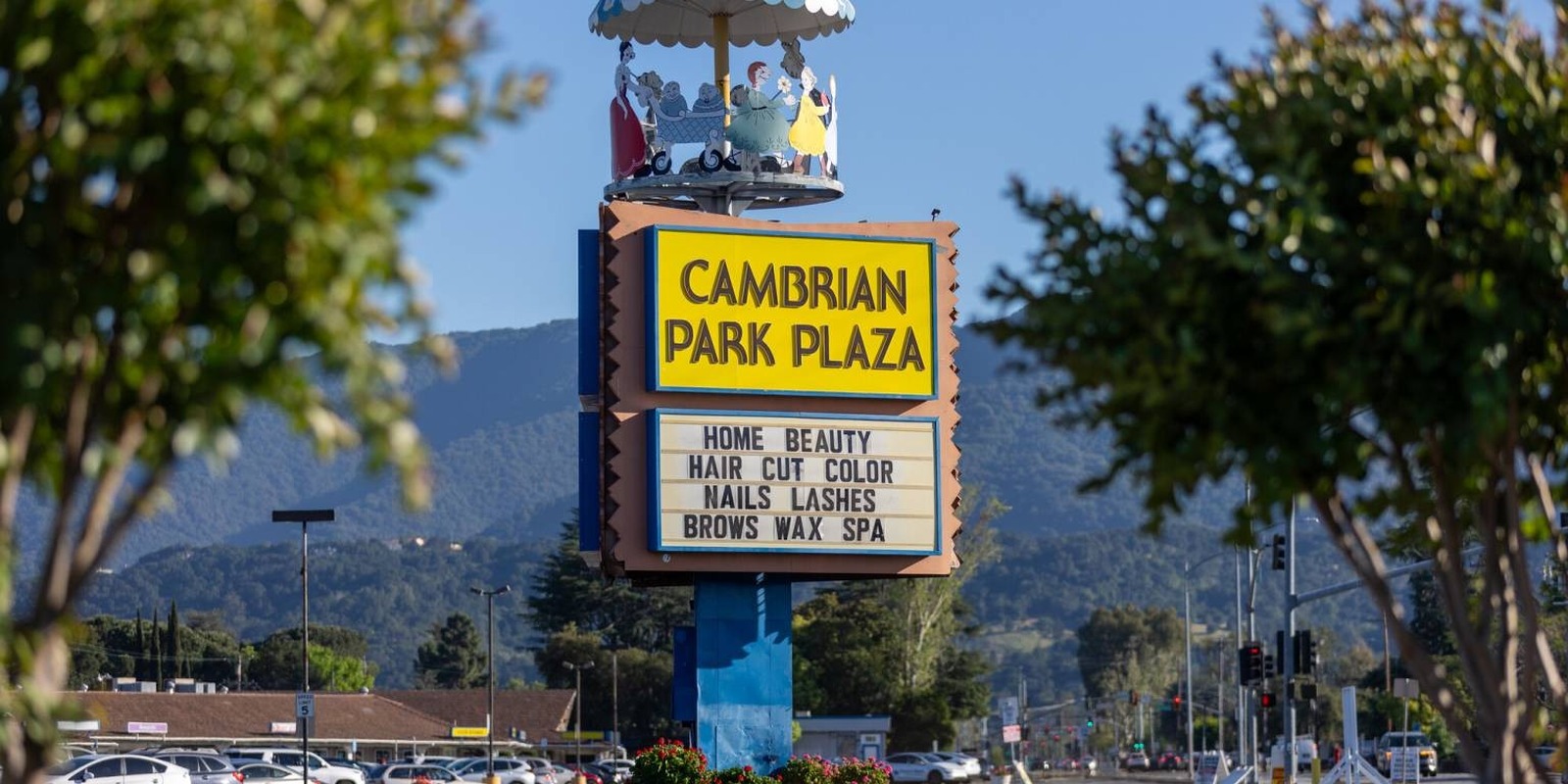 Alford-Bon Cambrian Market Report