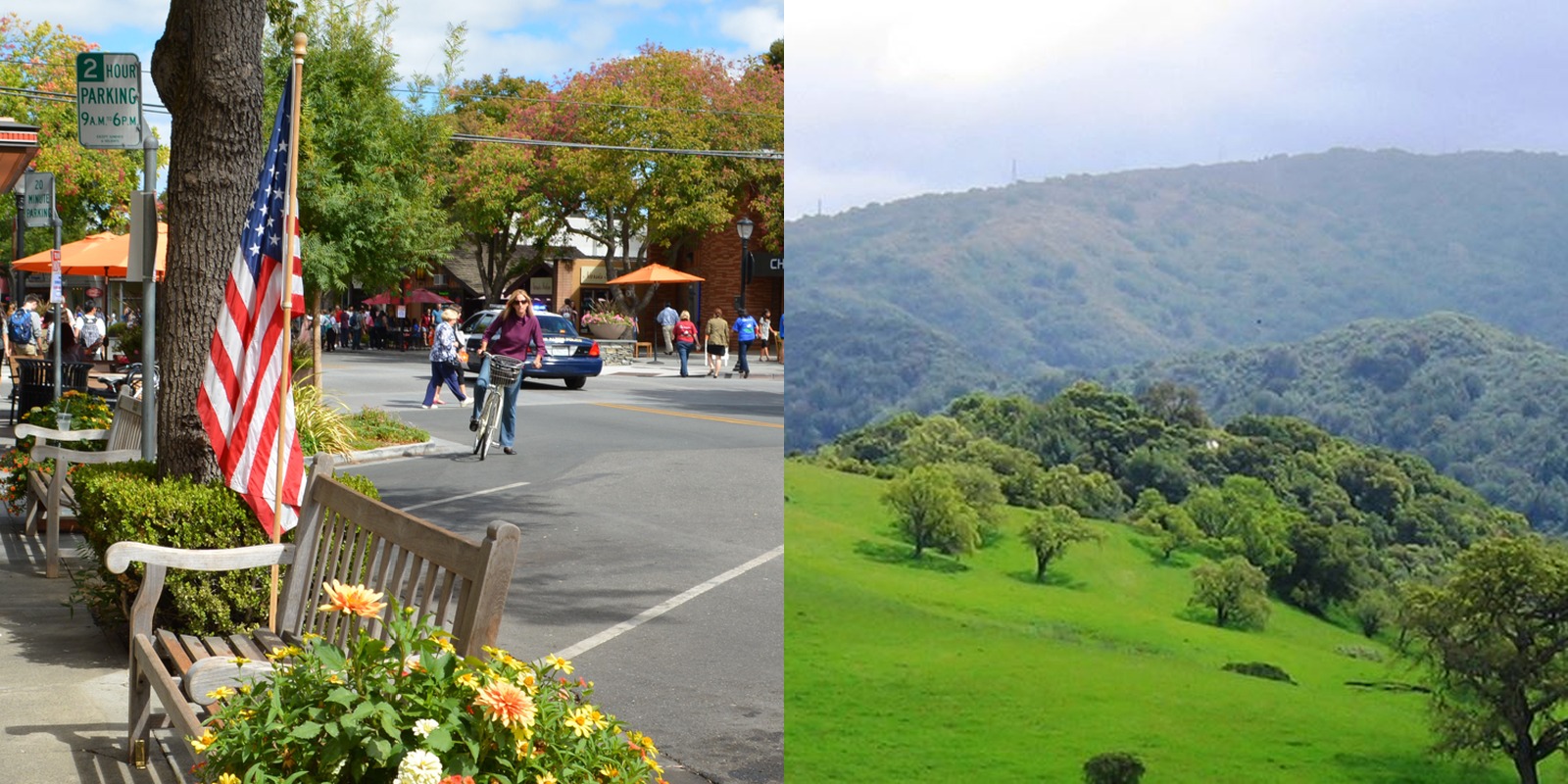 Alford-Bon Los Altos&ndash;Los Altos Hills Market Report