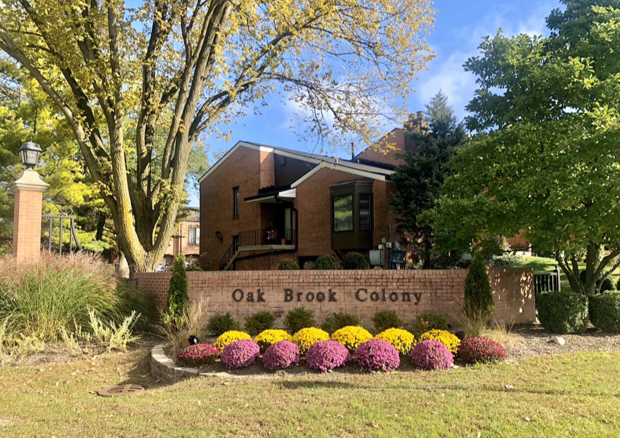 Oak Brook Colony Allison McCarthy Western Springs Real Estate Agent